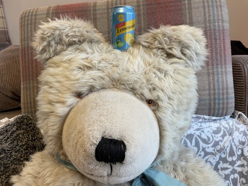 Teddy bear antique - teddy, old