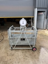 Bateman Sheep/ Lamb Weighing