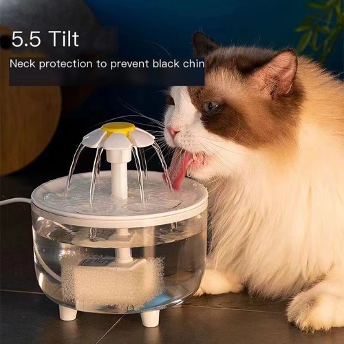 Cat mate pet - cat, drinking