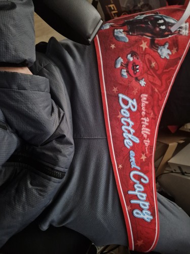 Fallout nuka cola felt pennant - fallout,