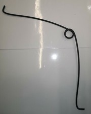 Sheep horn growth spring - Ram