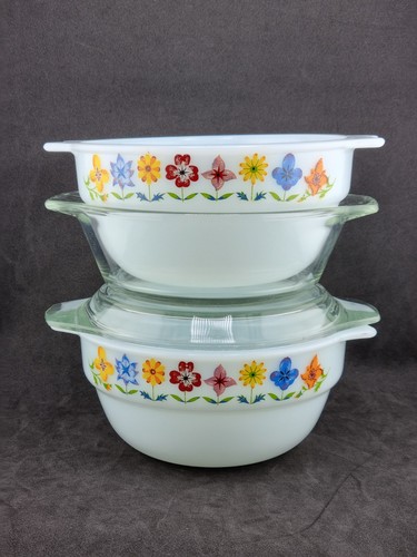 Phoenix pyrex opalware oven - phoenix,