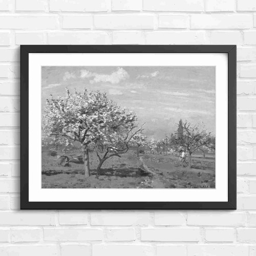 Blooming orchard trees - trees, spring