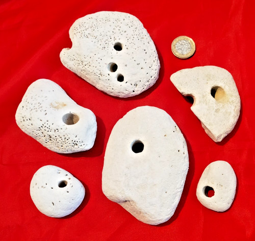 Natural chalk hag stones - x,