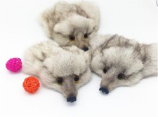 Genuine Fox Face Fur Pelt