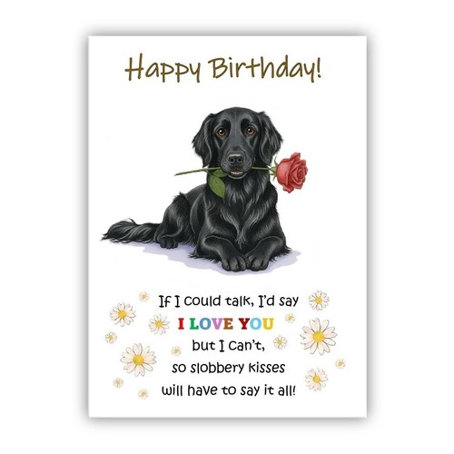 Black flat coated retriever - black,