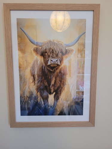 Highland cow print light - cow,