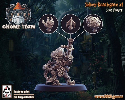 Gnome star player fantasy - gnome,