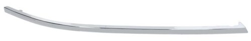 Trim protective strip - trim/protective, bumper
