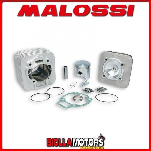 318237 cylinder malossi 172cc - 318237,