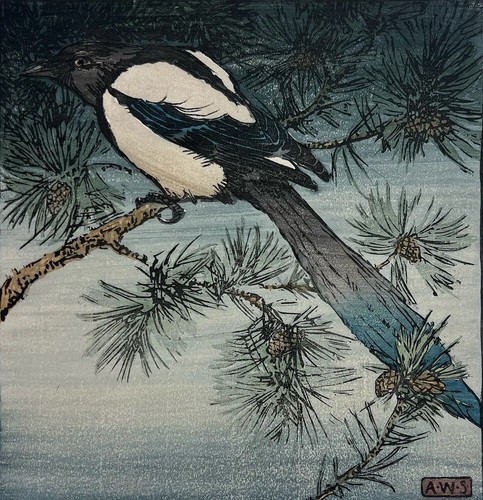 Magpie allen william seaby - :,
