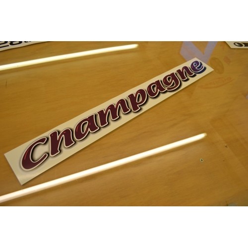 Bailey pageant champagne - pageant,