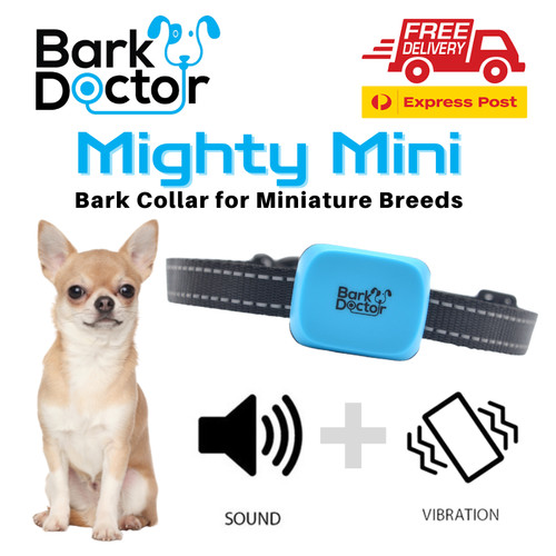 Bark doctor mini - mini, collar