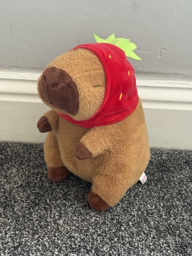 Kawaii dreamer capybara - capybara, plush