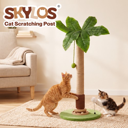 Skylos cat scratching - cat, post