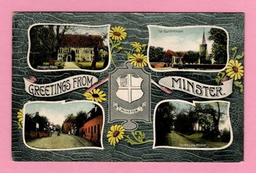 493006 postcard - 493006,