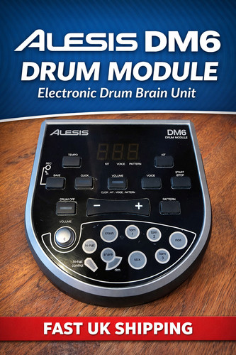 Alesis dm6 drum - module, brain