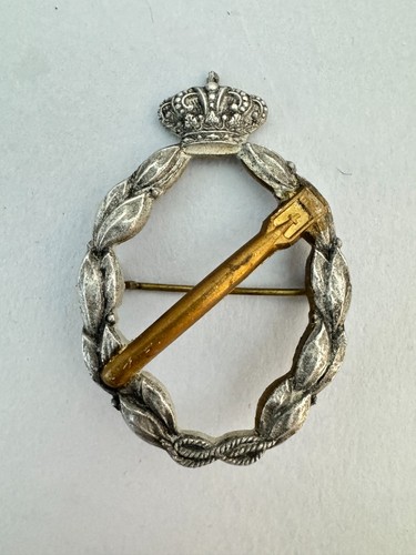 Ww2 italian air - force, gold