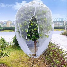 Garden Plant Tree Fruit Cover