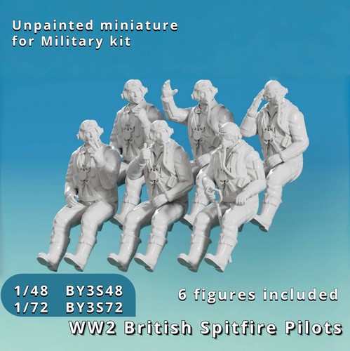 Scale resin model - 1/72,