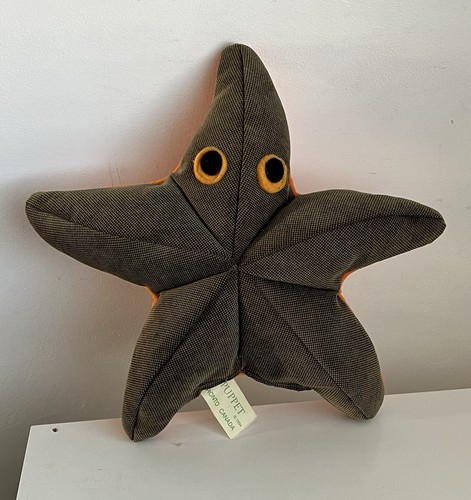 Puppet starfish glove - el,