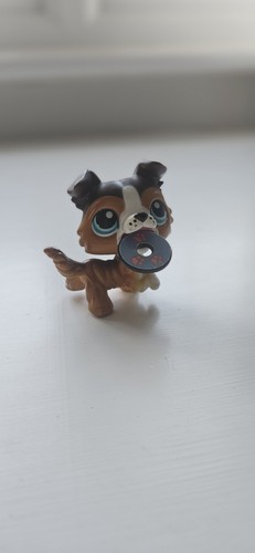 Littlest pet shop collie - pet,