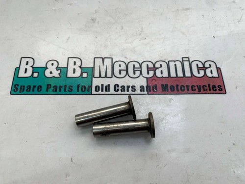 Pair clay pigeon target - pair,