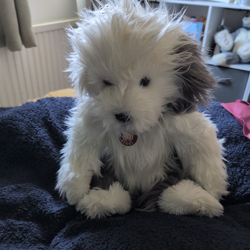Charlie bears campbell - charlie,