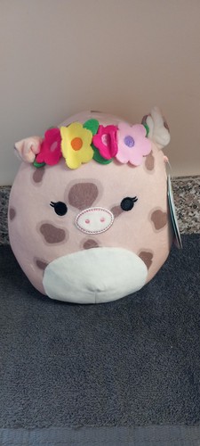 Squishmallow aquitaine pig - squishmallow,