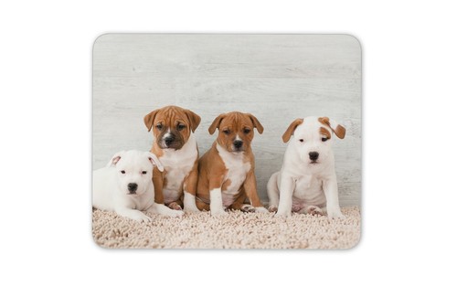 Cute staffy puppies mouse - puppies, mat