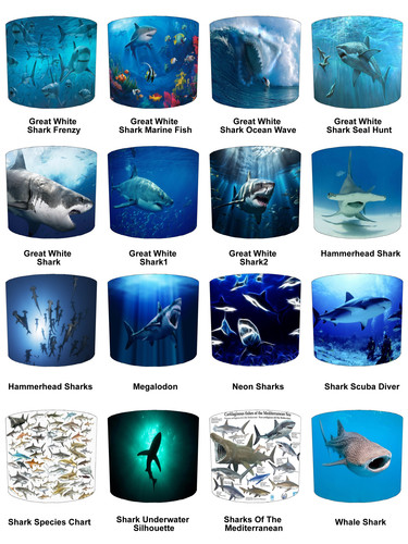 Great white shark - white,