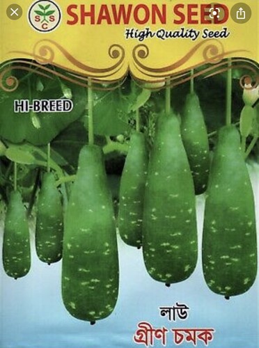 Indian bangladeshi seeds - bangladeshi,