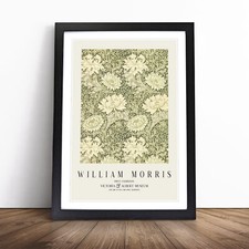 Chrysanthemum Print By William