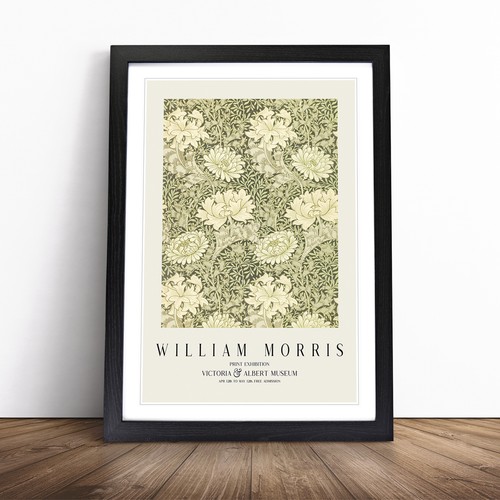 Chrysanthemum william morris - william,