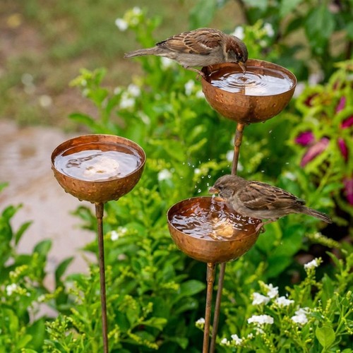 Metal bird bath - bird, watering