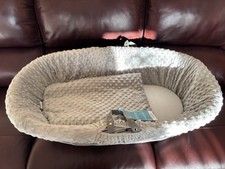 Clair De Lune Baby Moses