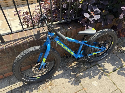 Mountain bike kids - bike,