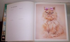 My Cat Record Book, Hale
