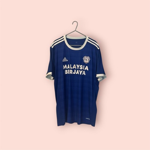 Cardiff city football - cardiff,