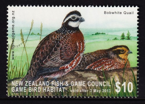 New zealand 2012 game - 2012,