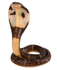 Cobra Snake Ornament Home Decor Garden Resin Statue Jungle Themed Room 32x23 cm