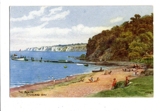 Quinton the beach studland - quinton,