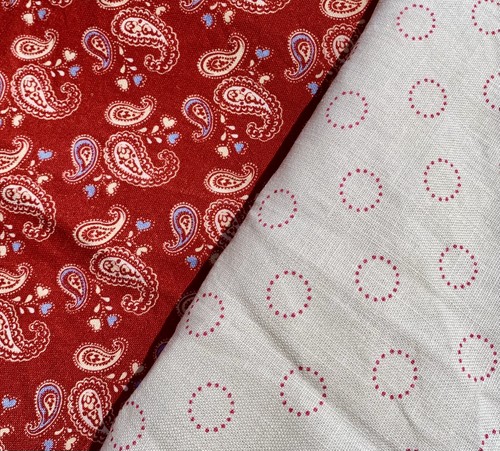 Cottage core red paisley - core,