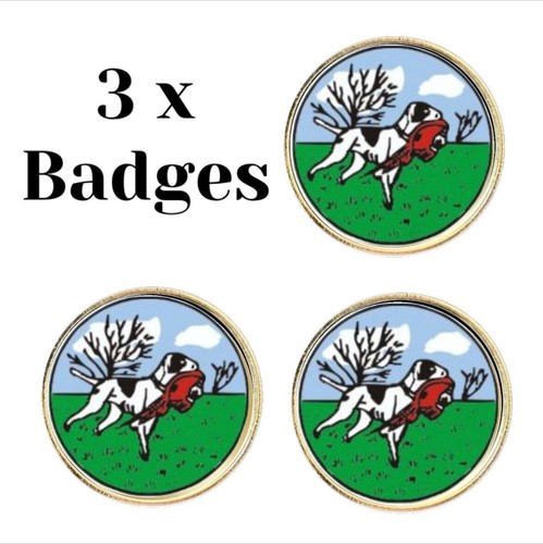 Spaniel hunting dog - hunting, (bu6)