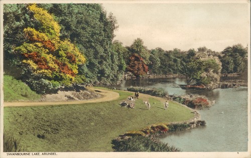 Arundel swanbourne lake