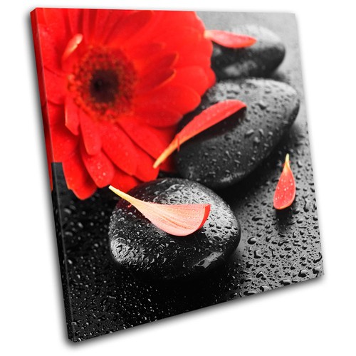 Floral pebbles bathroom single - pebbles,