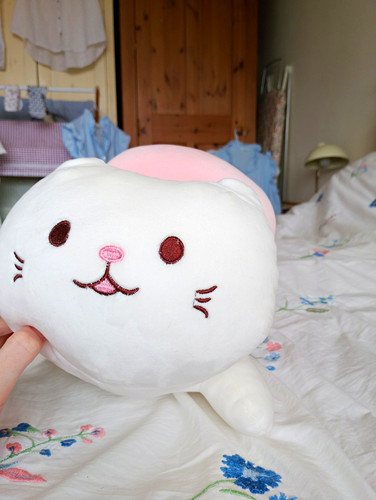 Kenji large white pink cat - kenji,