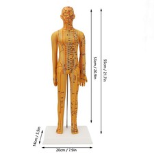 High Definition Acupuncture