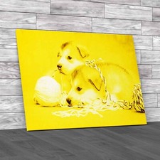 Cute Malamute Puppies Rest