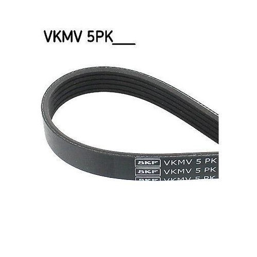 Ribbed belt skf - v-ribbed,